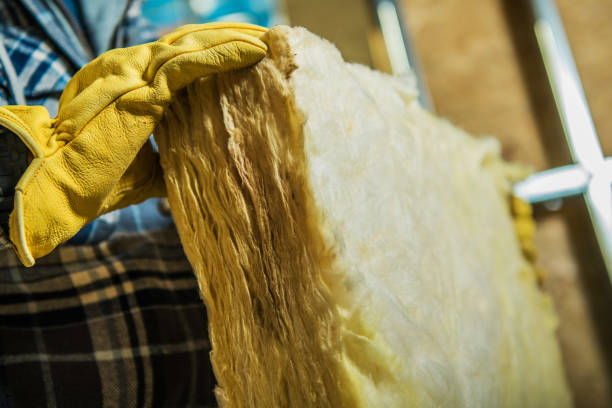 Best Insulation Installation Services in Weston, OH